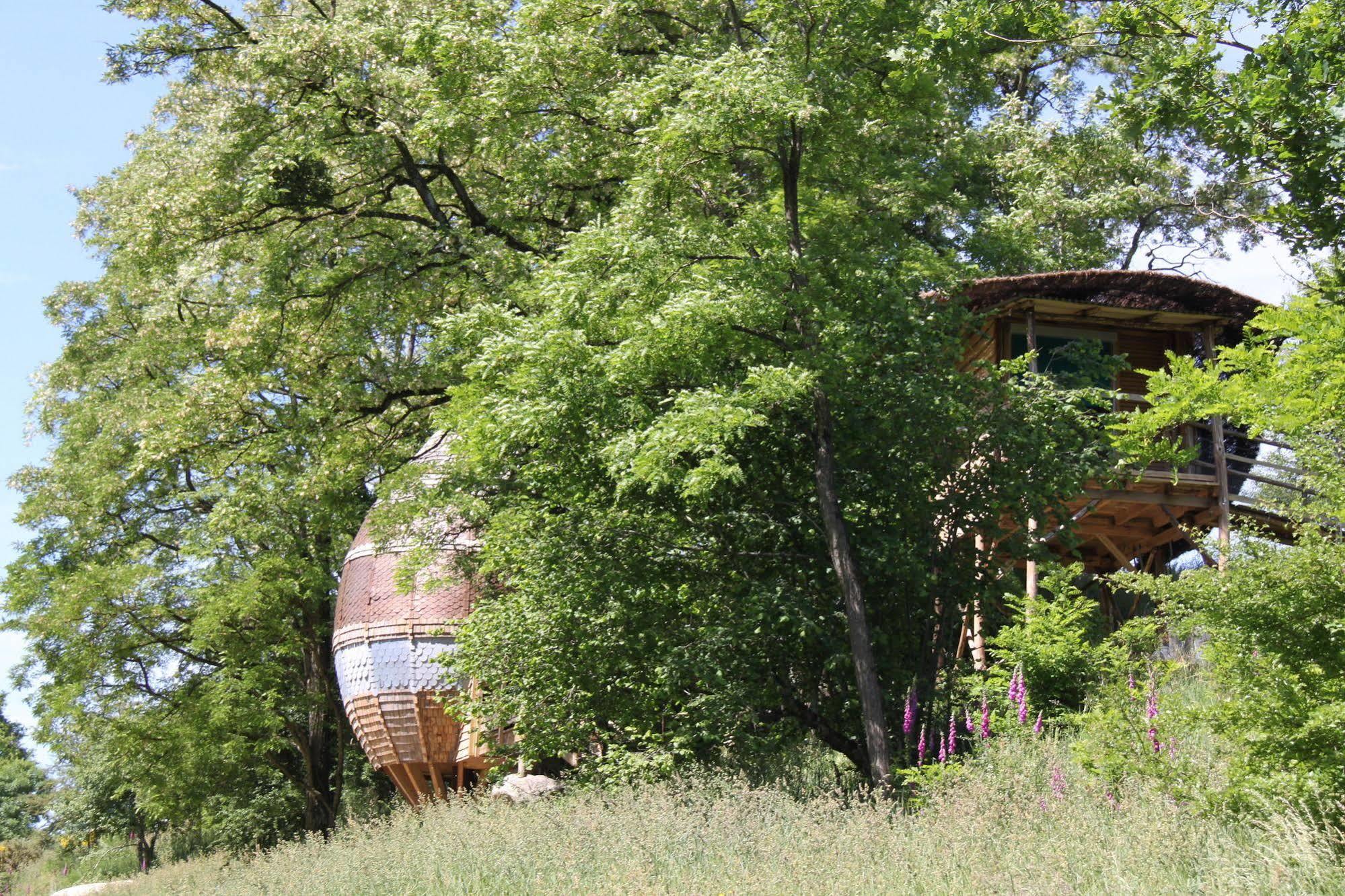 Terragora Lodges - Hebergement Atypique Les Épesses Buitenkant foto