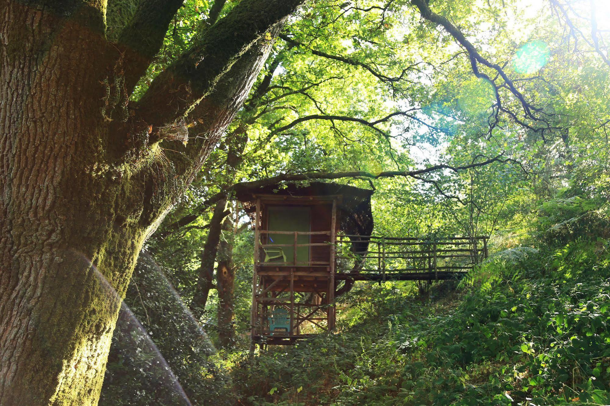 Terragora Lodges - Hebergement Atypique Les Épesses Buitenkant foto